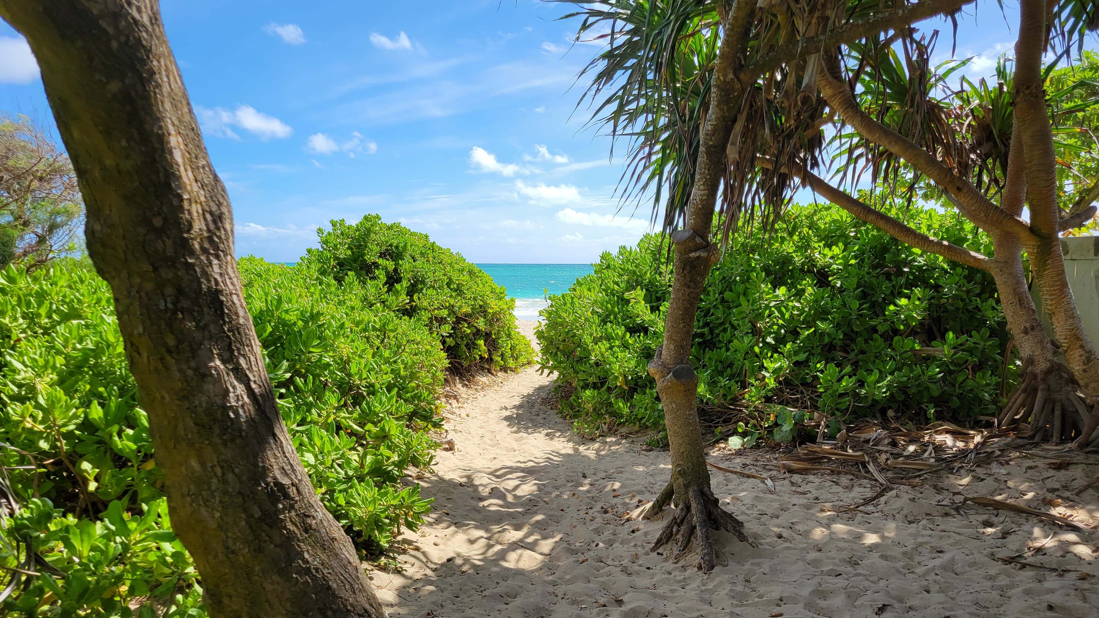 Tropical Paradise: Exploring Hawaii